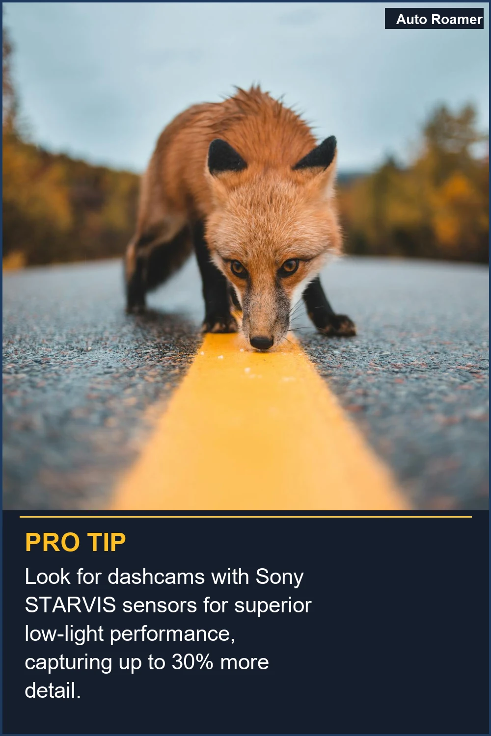 Look for dashcams with Sony STARVIS sensors for superior low-light performance, capturing up to 30% more detail.