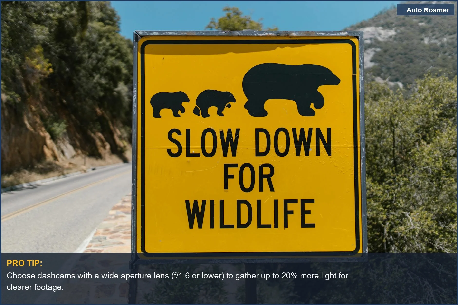 Wildlife warning sign on a scenic road, emphasizing the importance of low light dashcam capture.