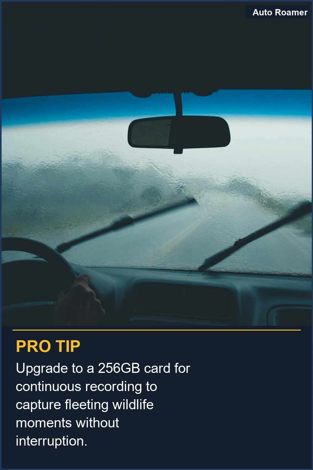 Upgrade to a 256GB card for continuous recording to capture fleeting wildlife moments without interruption.