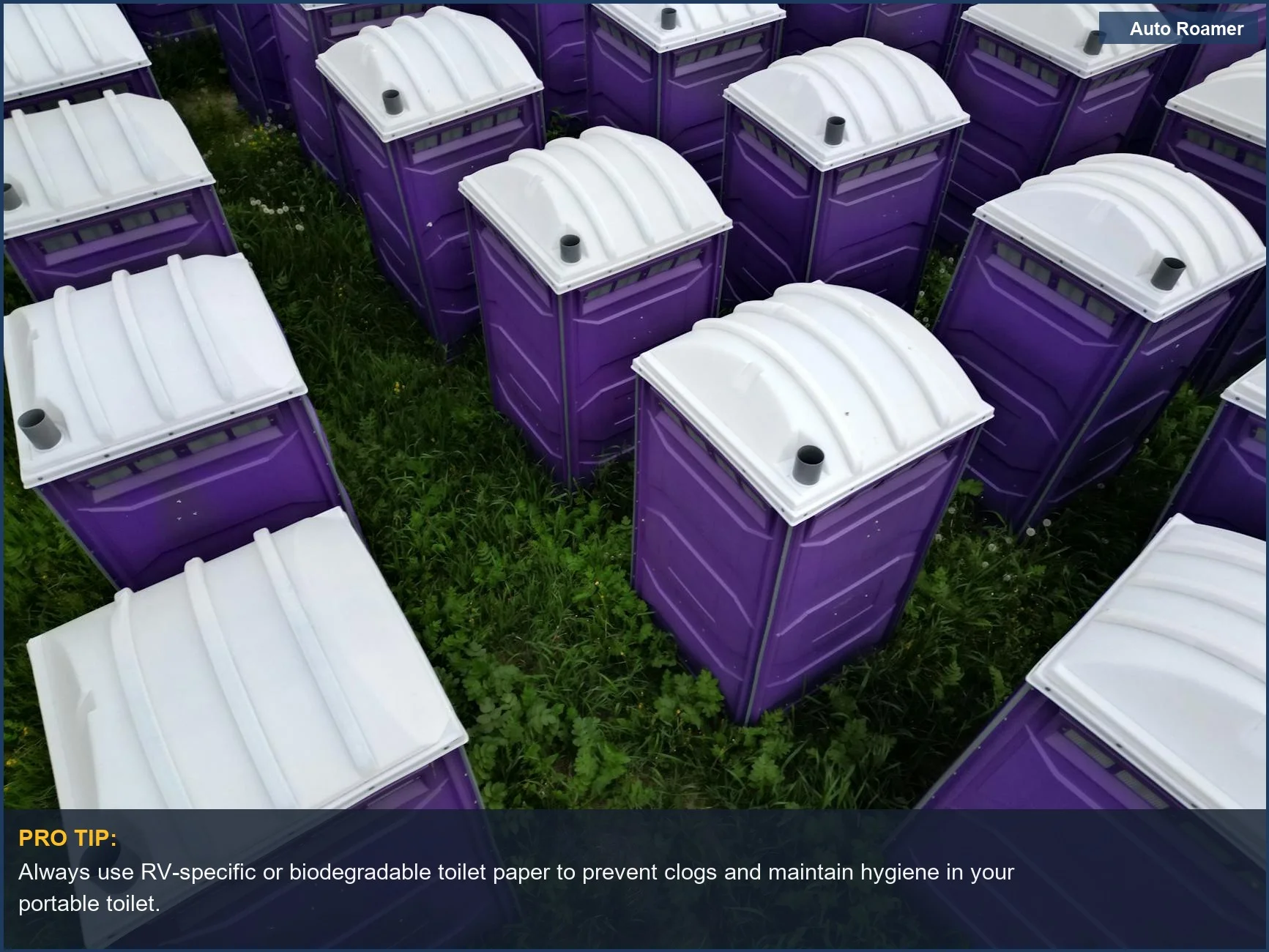 Top-down view of numerous purple portable toilets on grass, emphasizing the scale of sanitation needs.