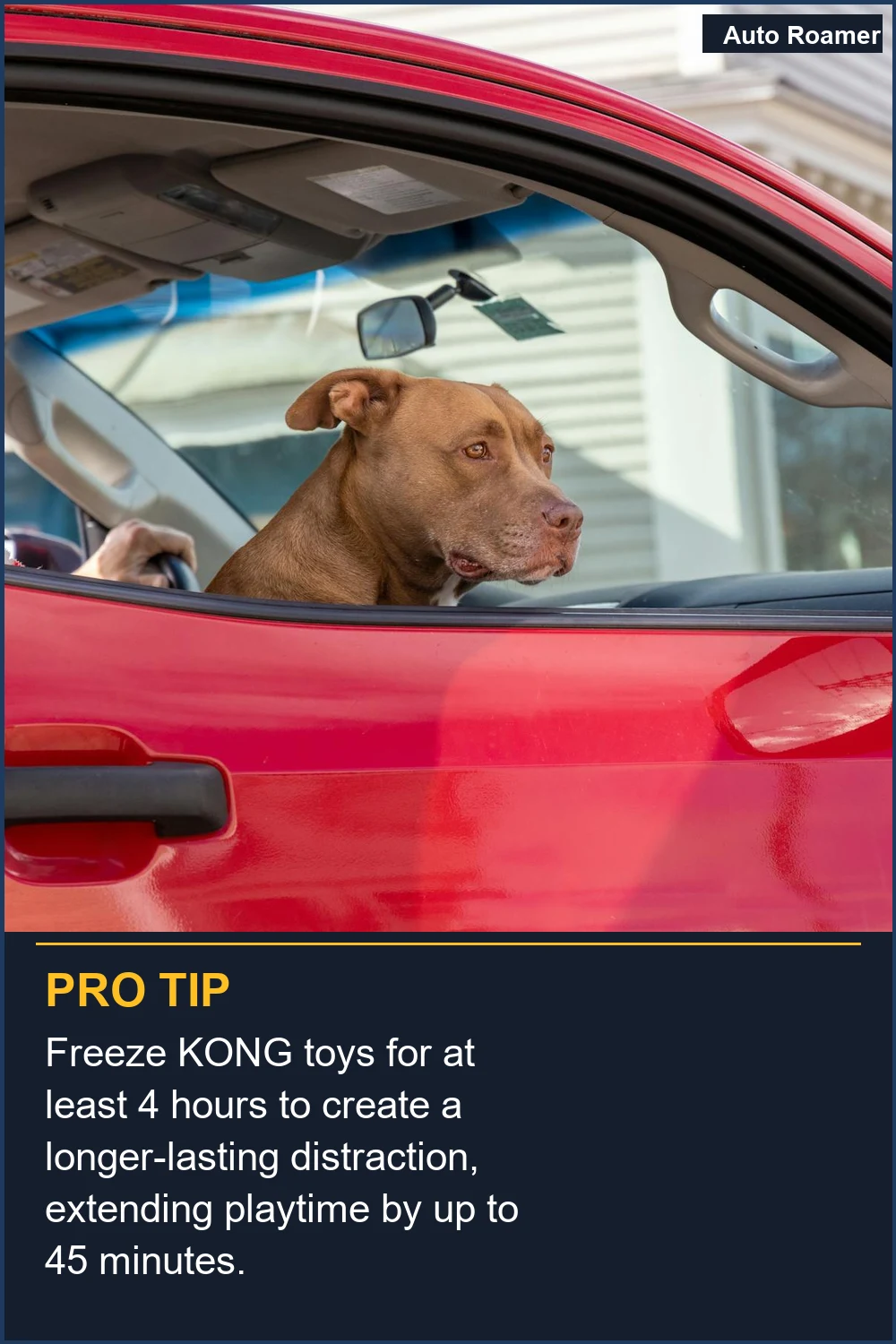 Freeze KONG toys for at least 4 hours to create a longer-lasting distraction, extending playtime by up to 45 minutes.