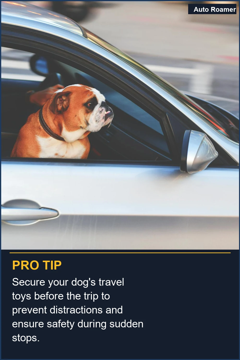 Secure your dog's travel toys before the trip to prevent distractions and ensure safety during sudden stops.