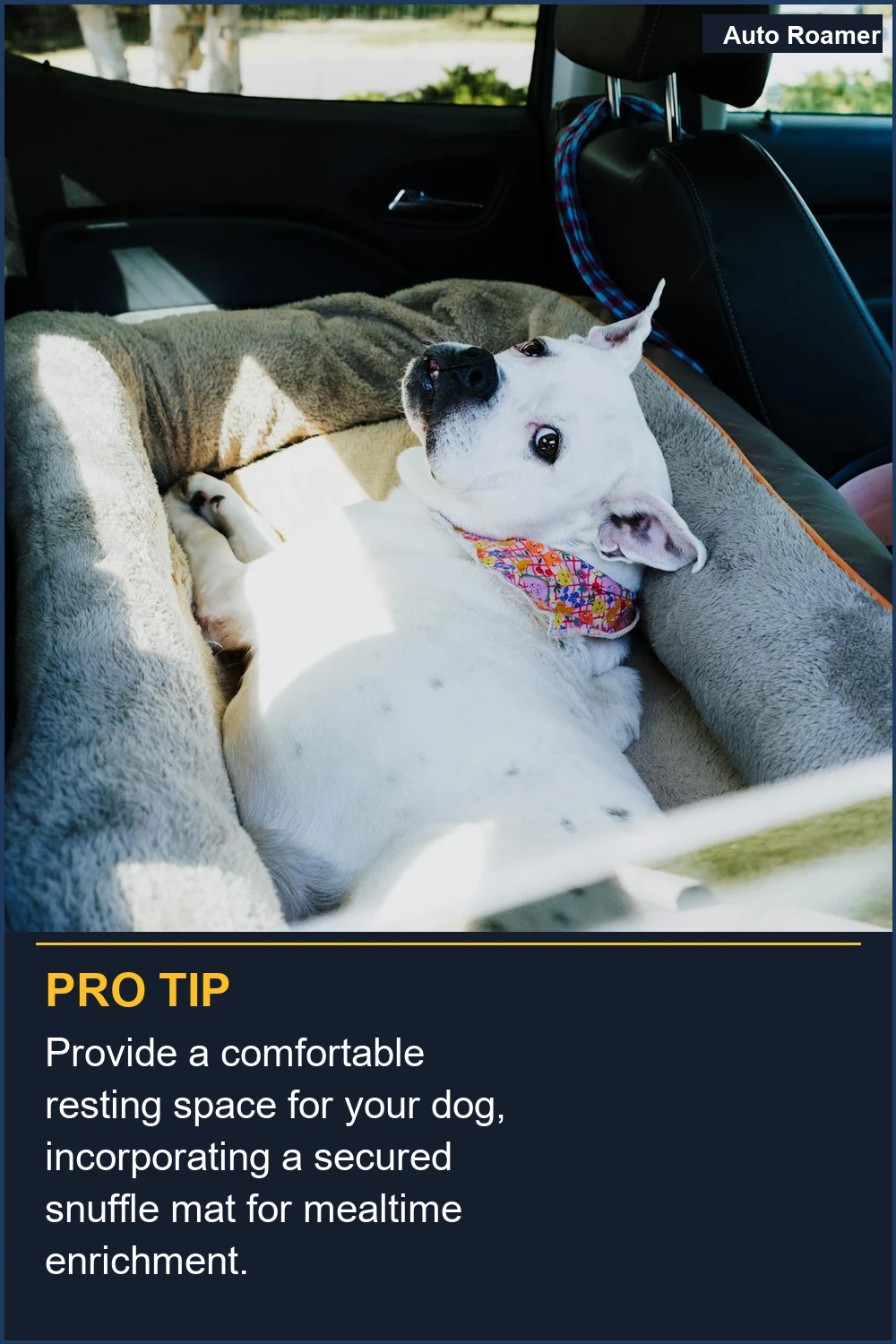 Provide a comfortable resting space for your dog, incorporating a secured snuffle mat for mealtime enrichment.