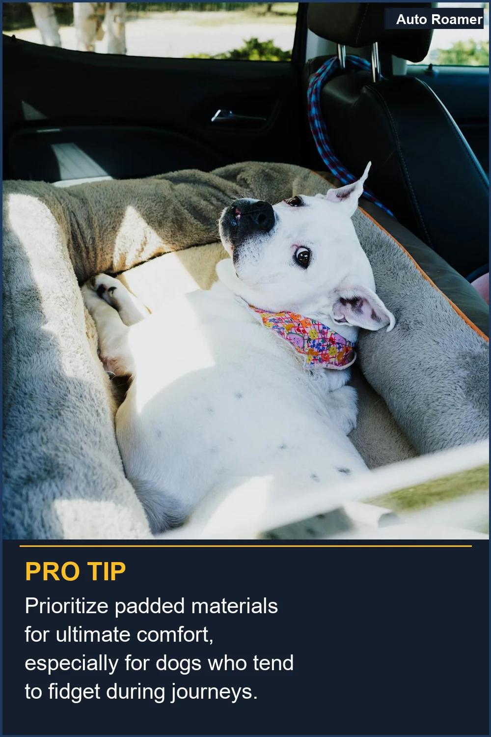 Prioritize padded materials for ultimate comfort, especially for dogs who tend to fidget during journeys.