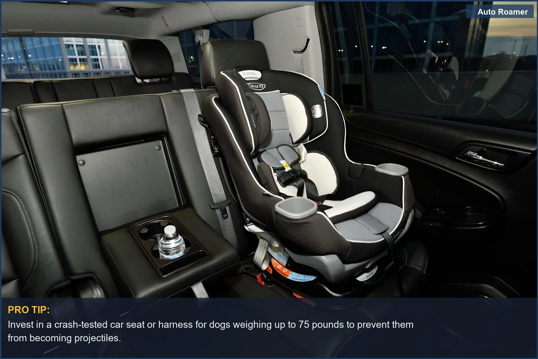 Modern car interior featuring a secure pet safety car seat for small to medium dog breeds.