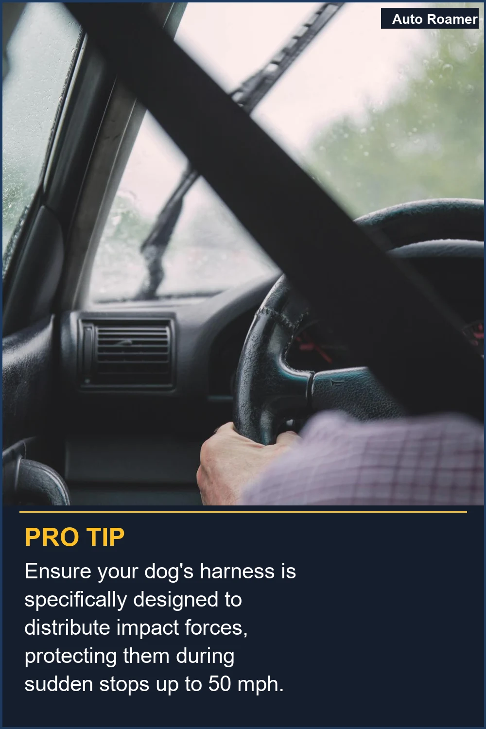 Ensure your dog's harness is specifically designed to distribute impact forces, protecting them during sudden stops up to 50 mph.