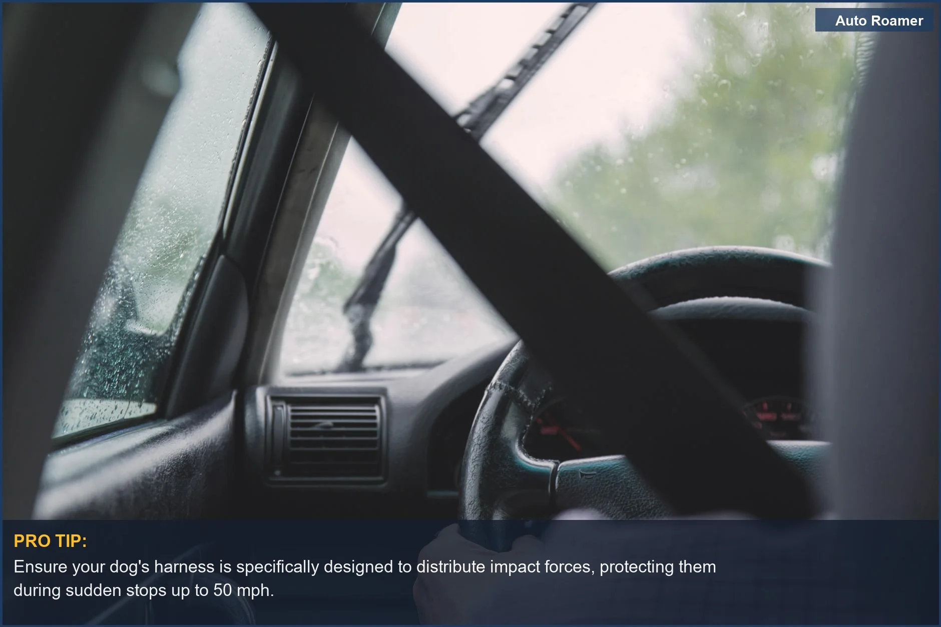 Rainy car interior with focus on a dog harness and seatbelt, emphasizing dog safety during travel.