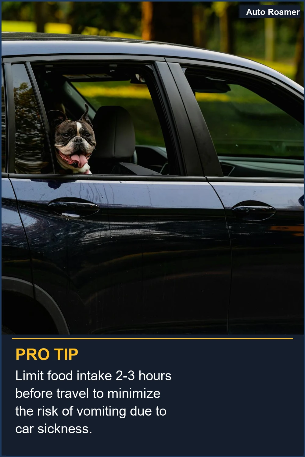 Limit food intake 2-3 hours before travel to minimize the risk of vomiting due to car sickness.