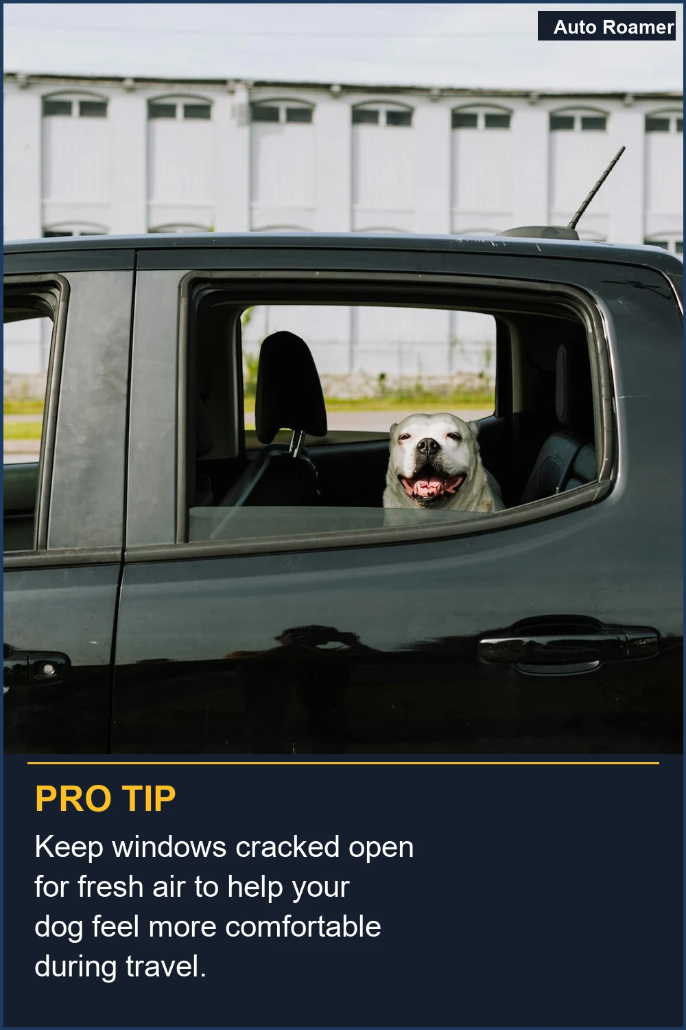 Keep windows cracked open for fresh air to help your dog feel more comfortable during travel.