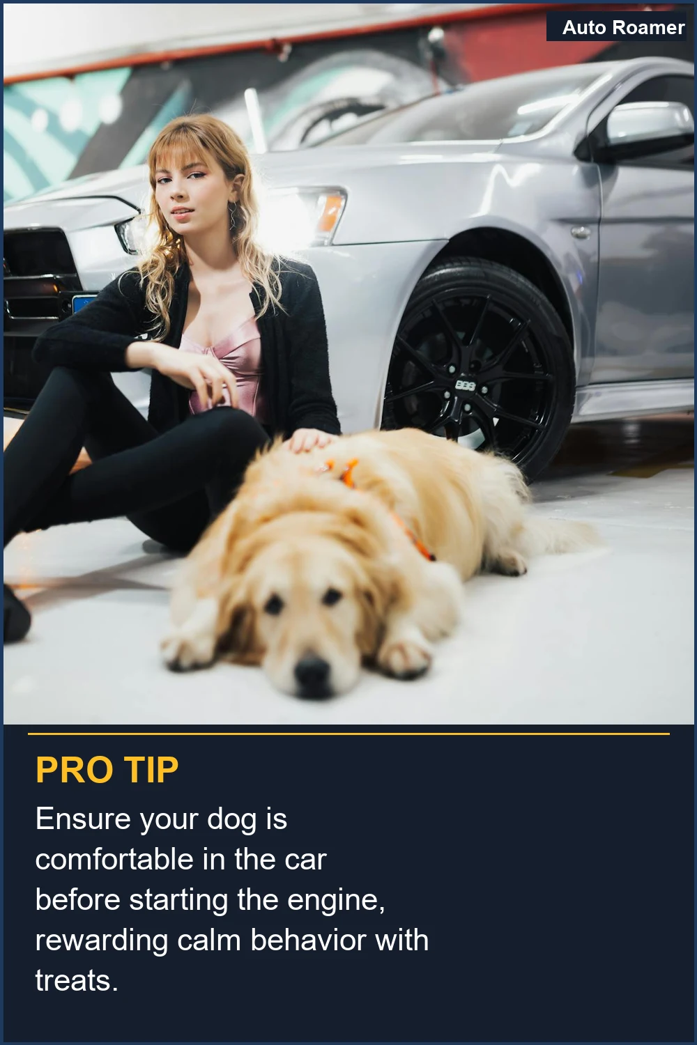 Ensure your dog is comfortable in the car before starting the engine, rewarding calm behavior with treats.