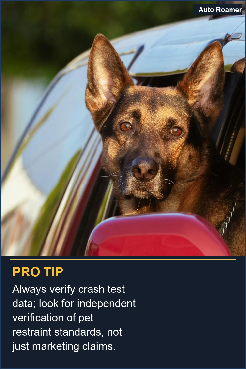 Always verify crash test data; look for independent verification of pet restraint standards, not just marketing claims.