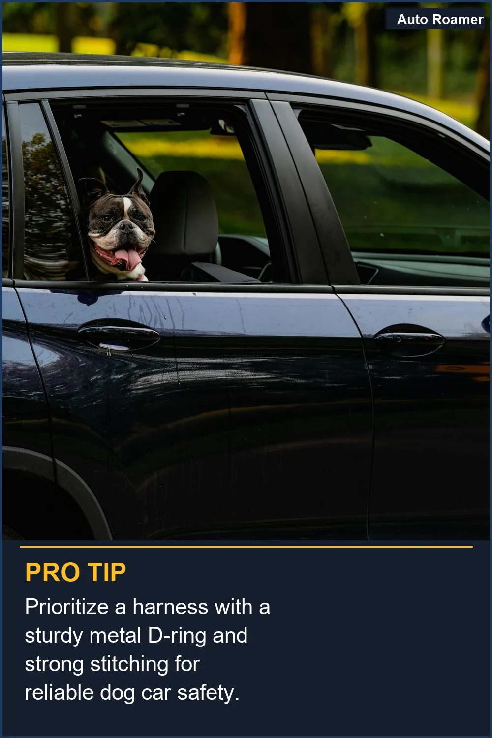 Prioritize a harness with a sturdy metal D-ring and strong stitching for reliable dog car safety.