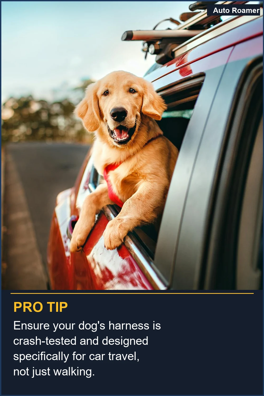Ensure your dog's harness is crash-tested and designed specifically for car travel, not just walking.