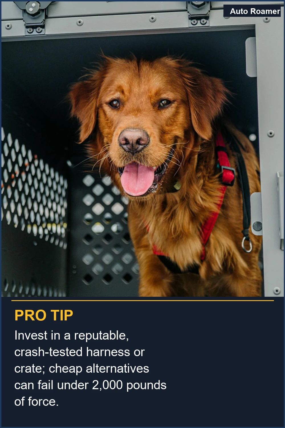 Invest in a reputable, crash-tested harness or crate; cheap alternatives can fail under 2,000 pounds of force.