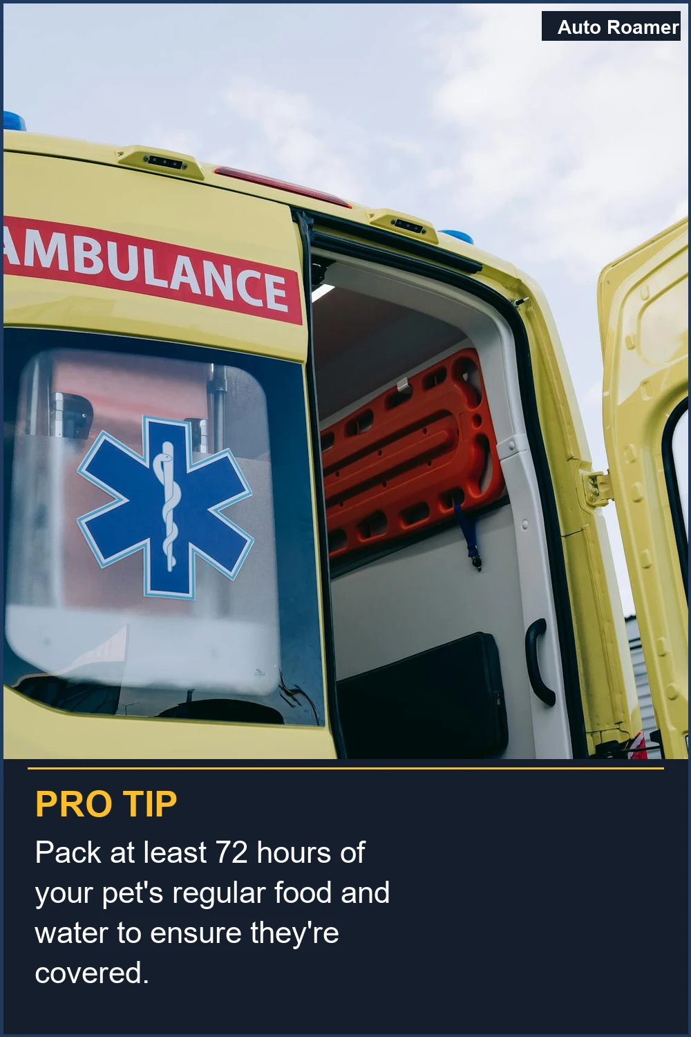 Empaca al menos 72 horas de la comida y agua habitual de tu mascota para asegurarte de que estén cubiertas.