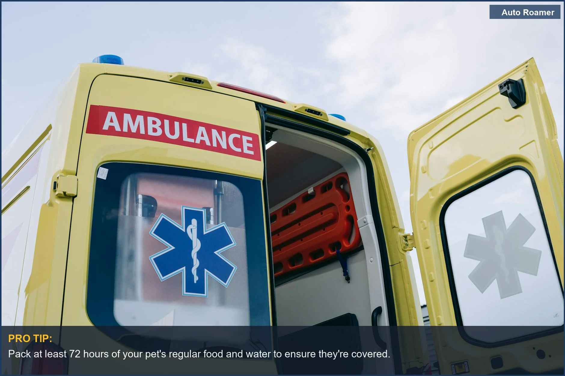 Interior de ambulancia amarilla con equipo médico, esencial para un botiquín de emergencia para mascotas para una respuesta rápida.