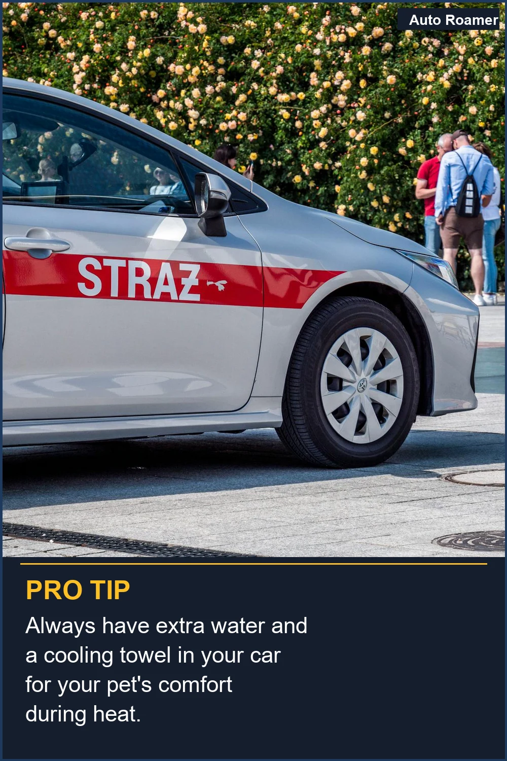 Ten siempre agua extra y una toalla refrescante en tu coche para la comodidad de tu mascota durante el calor.