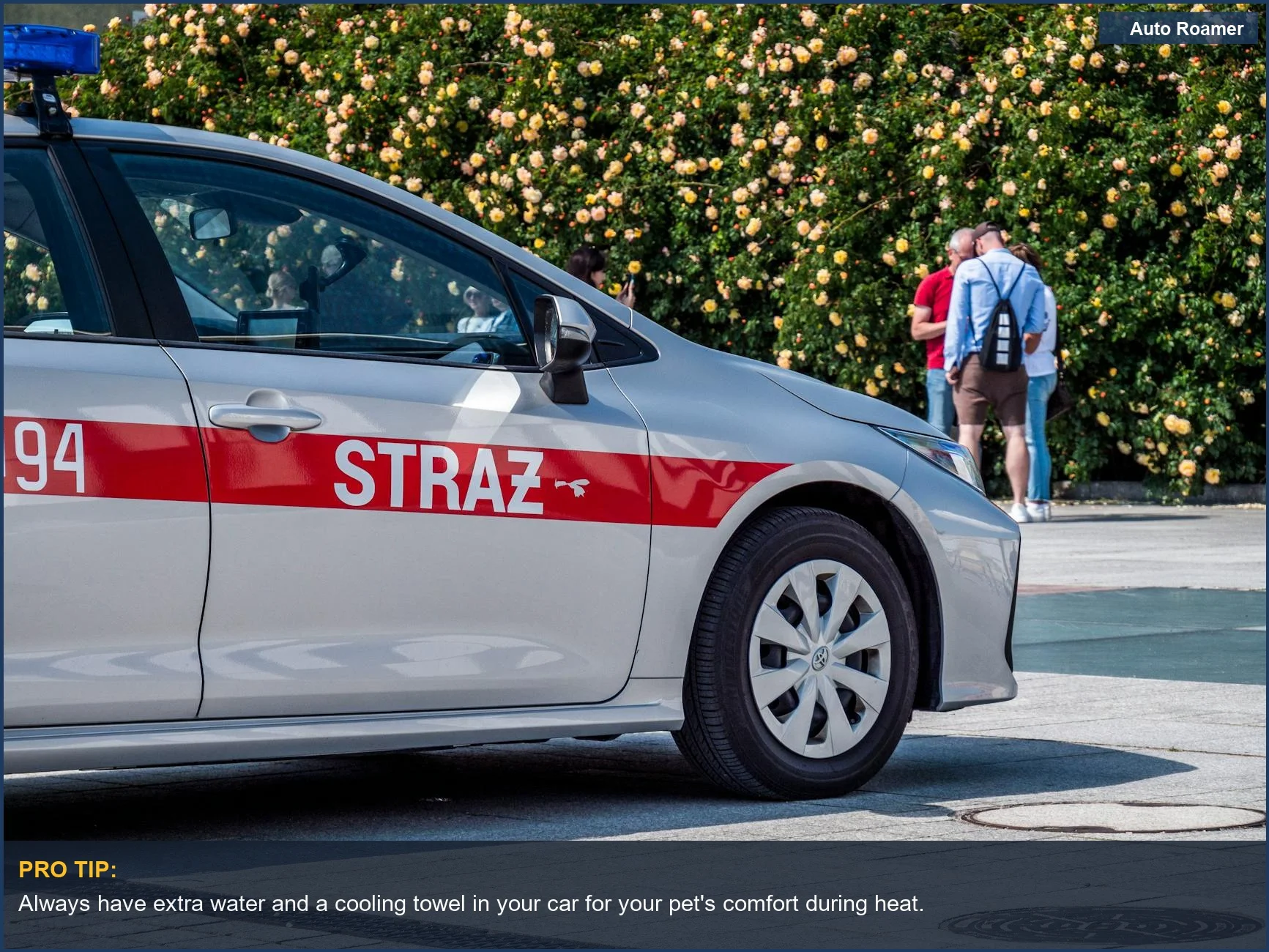 Vehículo de emergencia estacionado al aire libre, recordándonos empacar suministros de asistencia en carretera para mascotas.