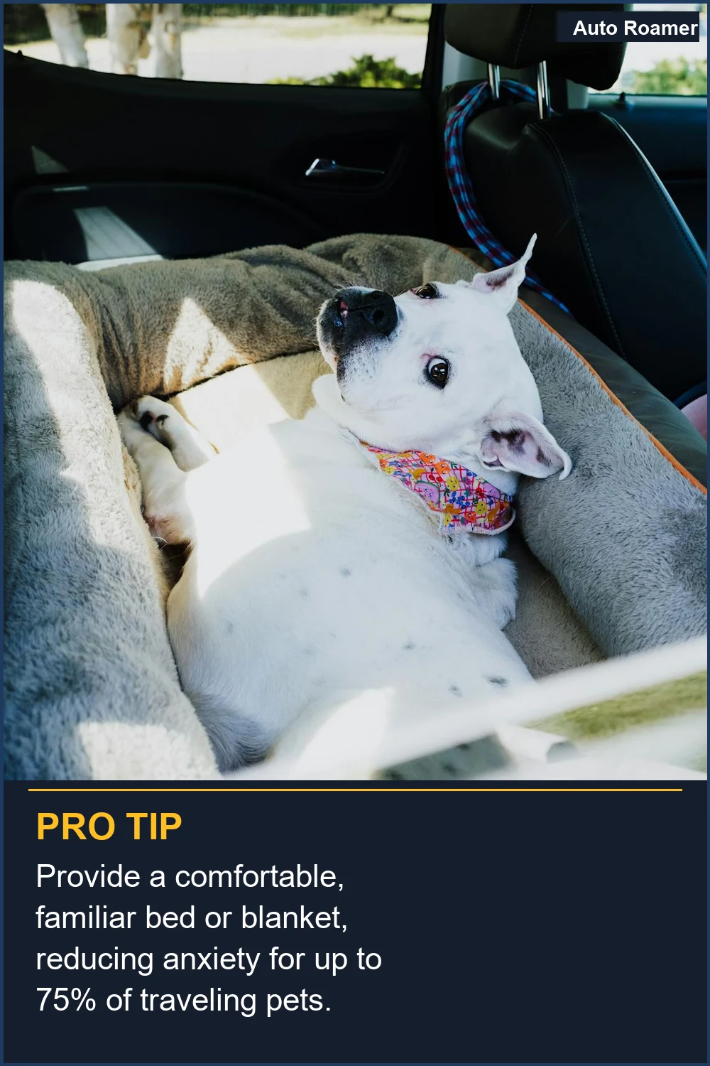 Provide a comfortable, familiar bed or blanket, reducing anxiety for up to 75% of traveling pets.
