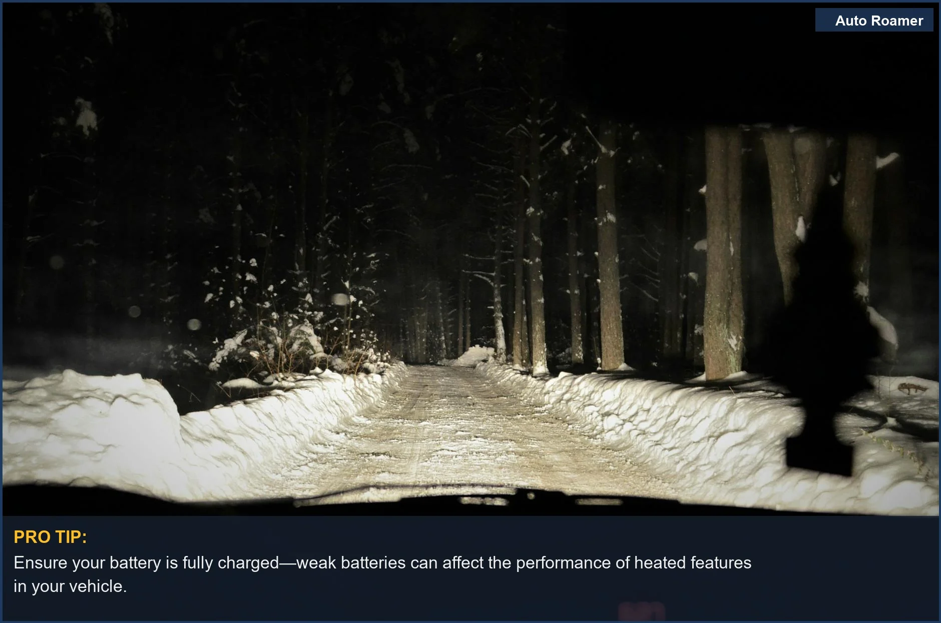 View from car interior onto a snowy forest road illuminated by headlights, hinting at the need for heated steering wheel functionality.