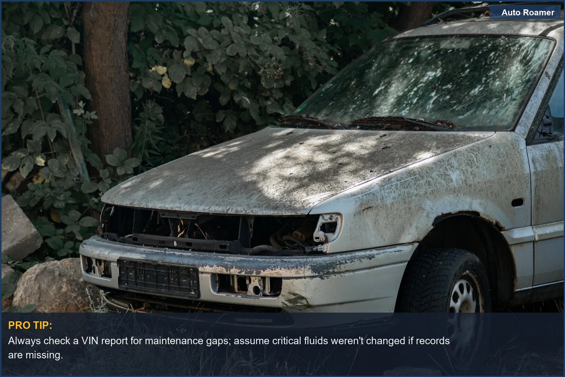 Neglected, rusty car in an overgrown setting represents the long-term financial burden of poor car maintenance.