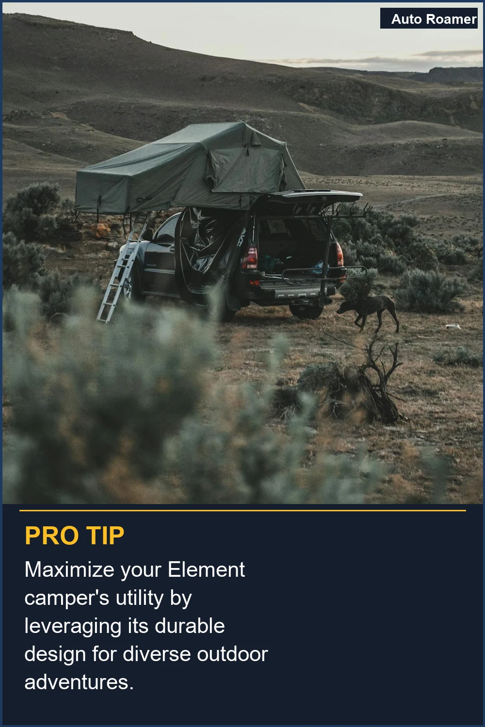 Maximize your Element camper's utility by leveraging its durable design for diverse outdoor adventures.