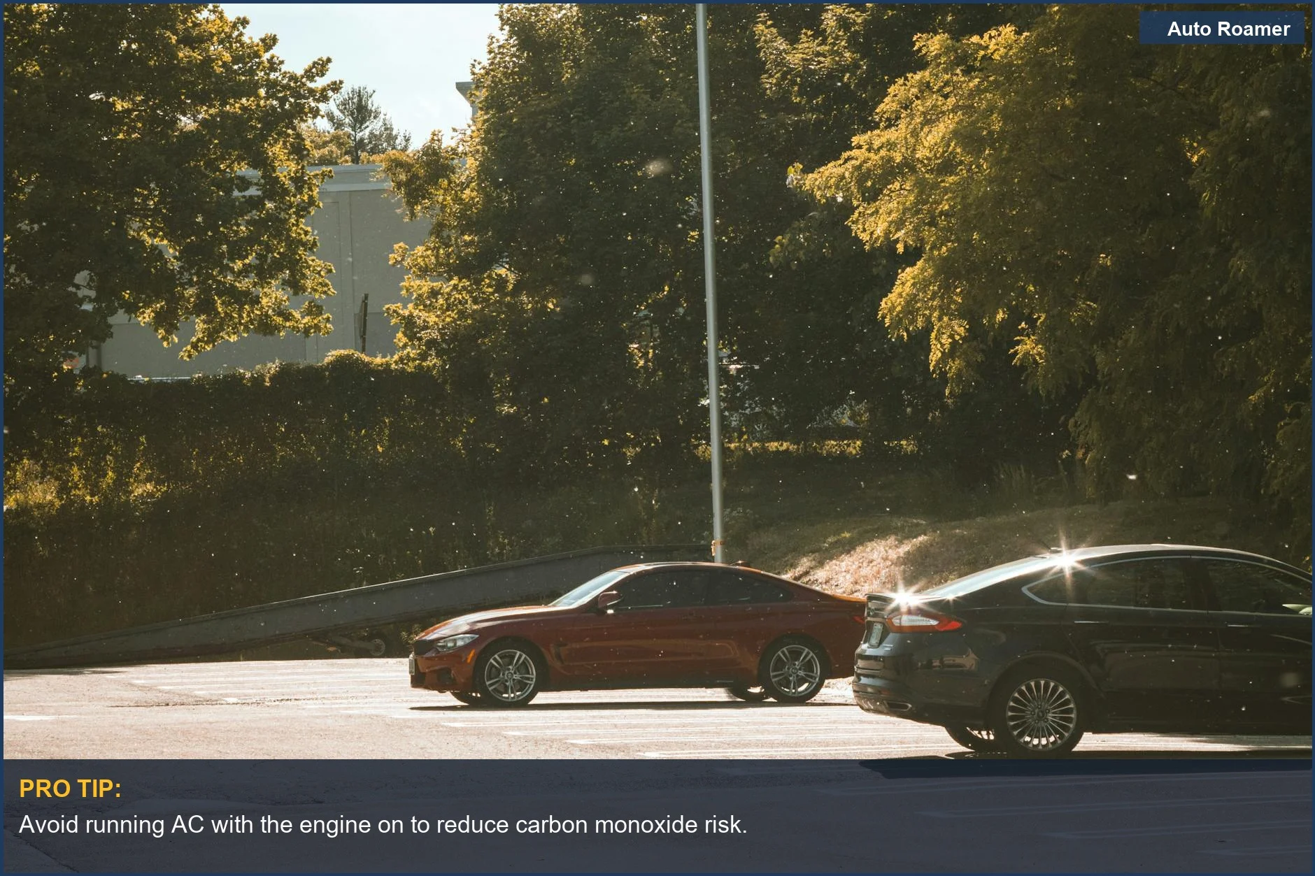 Cars parked under sunlit trees, illustrating potential risks of running AC while parked.