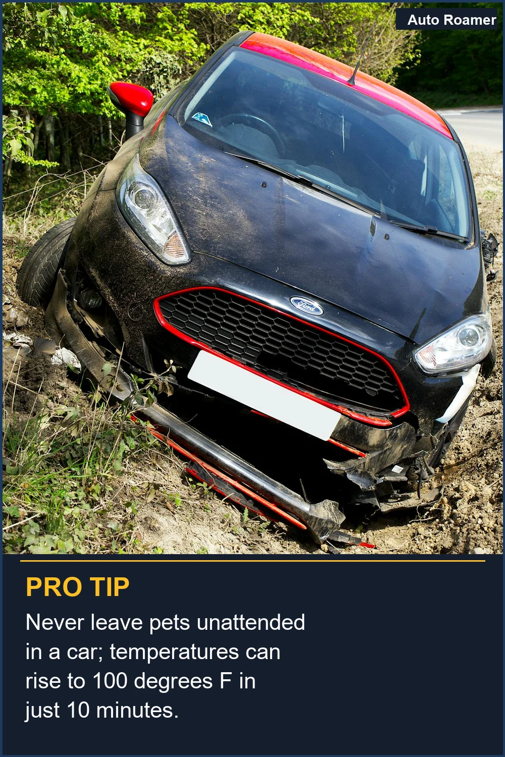 Never leave pets unattended in a car; temperatures can rise to 100 degrees F in just 10 minutes.