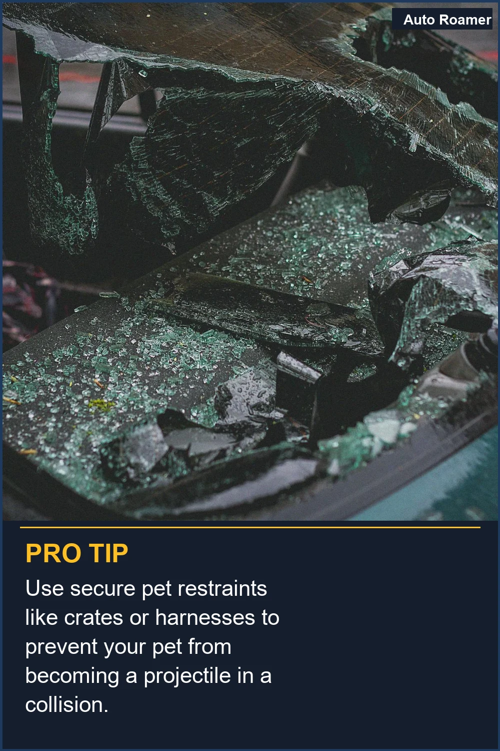 Use secure pet restraints like crates or harnesses to prevent your pet from becoming a projectile in a collision.