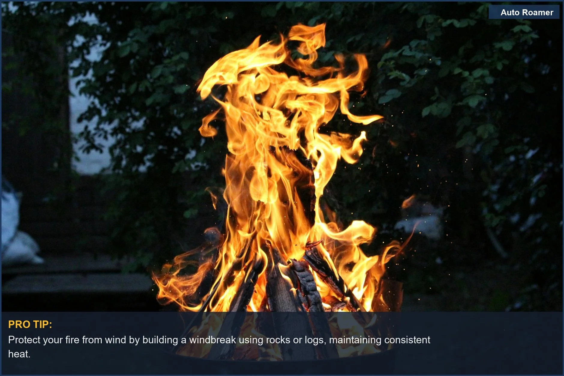 Vivid campfire flames rise against a dark backdrop, illustrating a well-built campfire that stays lit.
