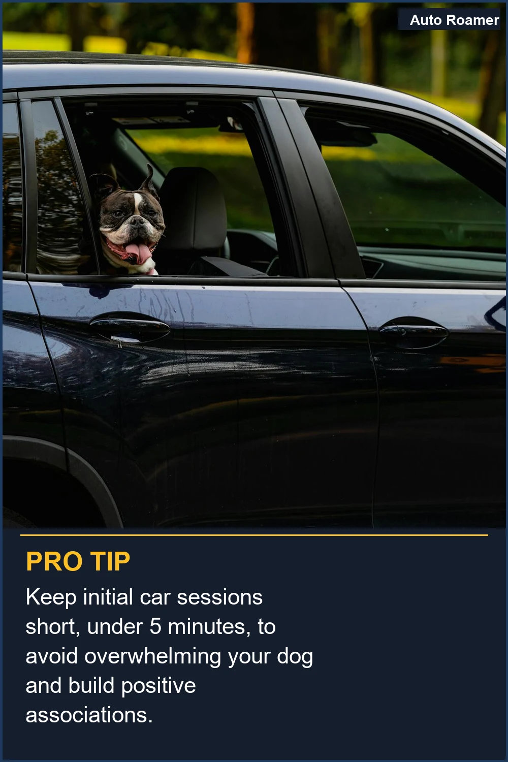 Keep initial car sessions short, under 5 minutes, to avoid overwhelming your dog and build positive associations.