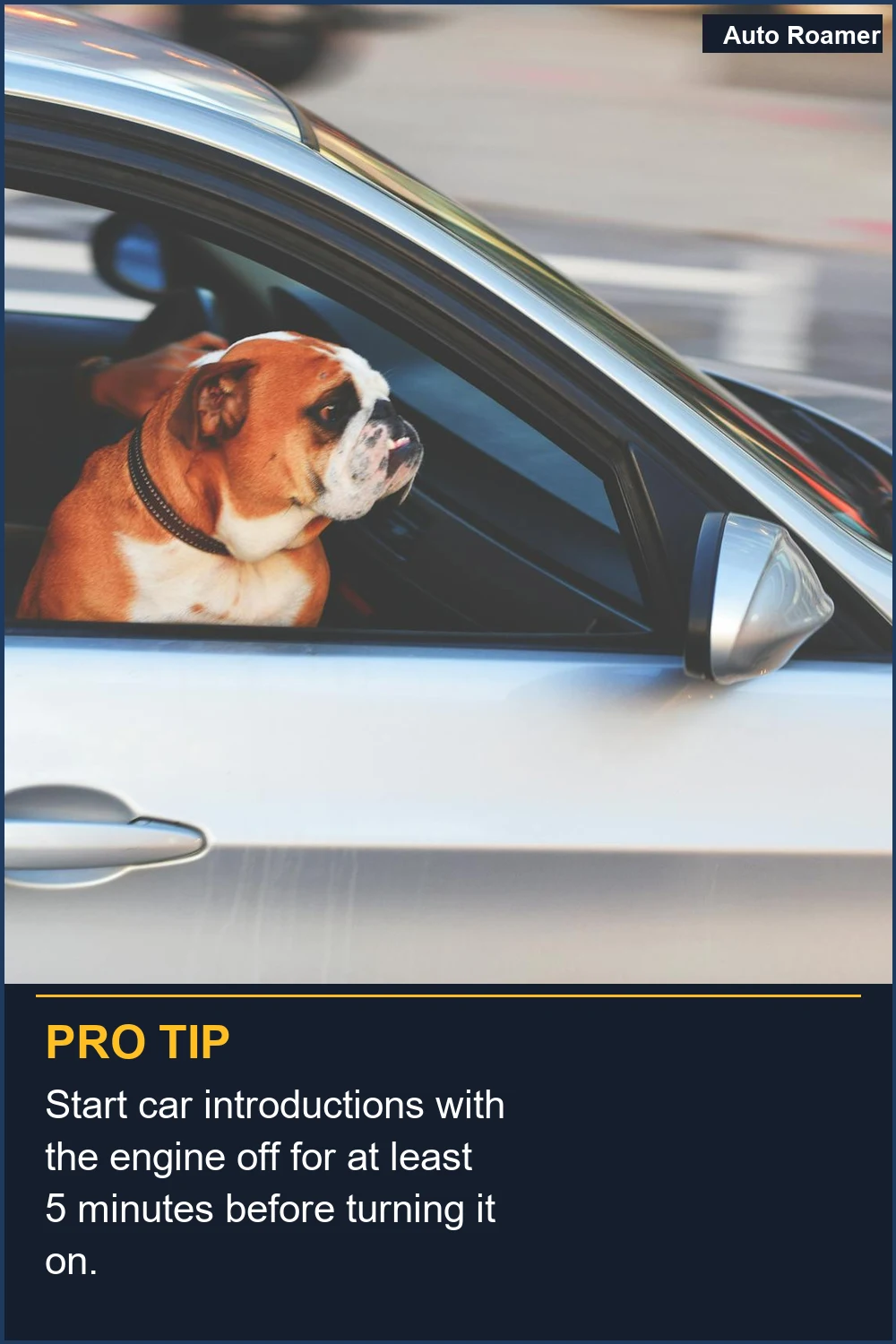 Start car introductions with the engine off for at least 5 minutes before turning it on.