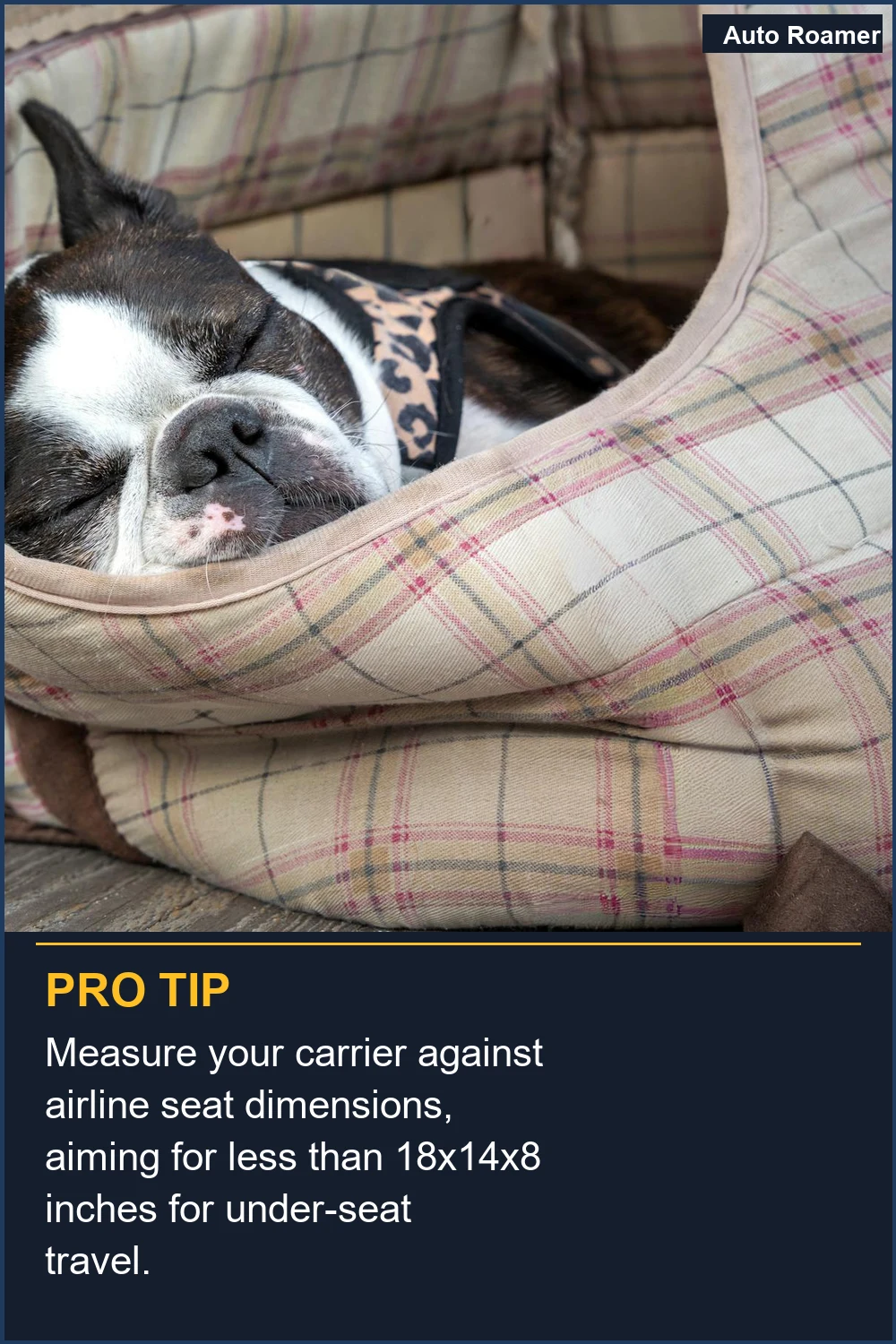 Measure your carrier against airline seat dimensions, aiming for less than 18x14x8 inches for under-seat travel.