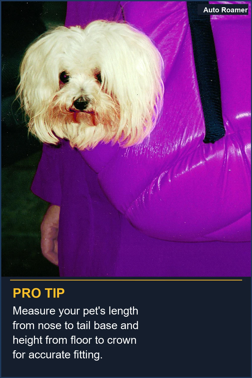 Measure your pet's length from nose to tail base and height from floor to crown for accurate fitting.