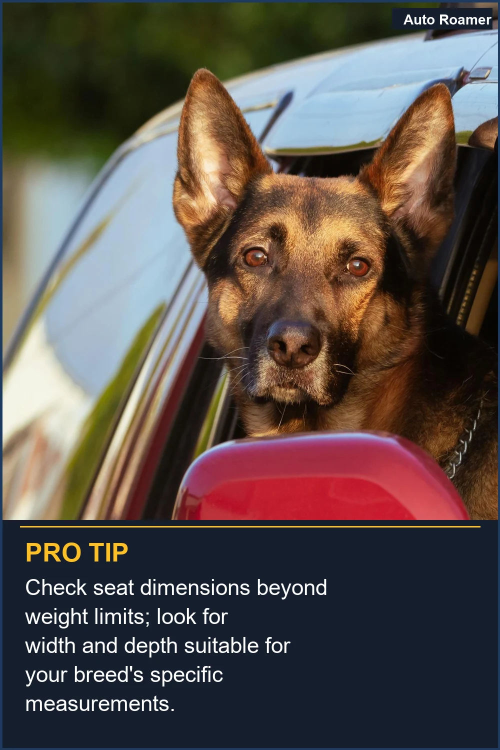 Check seat dimensions beyond weight limits; look for width and depth suitable for your breed's specific measurements.