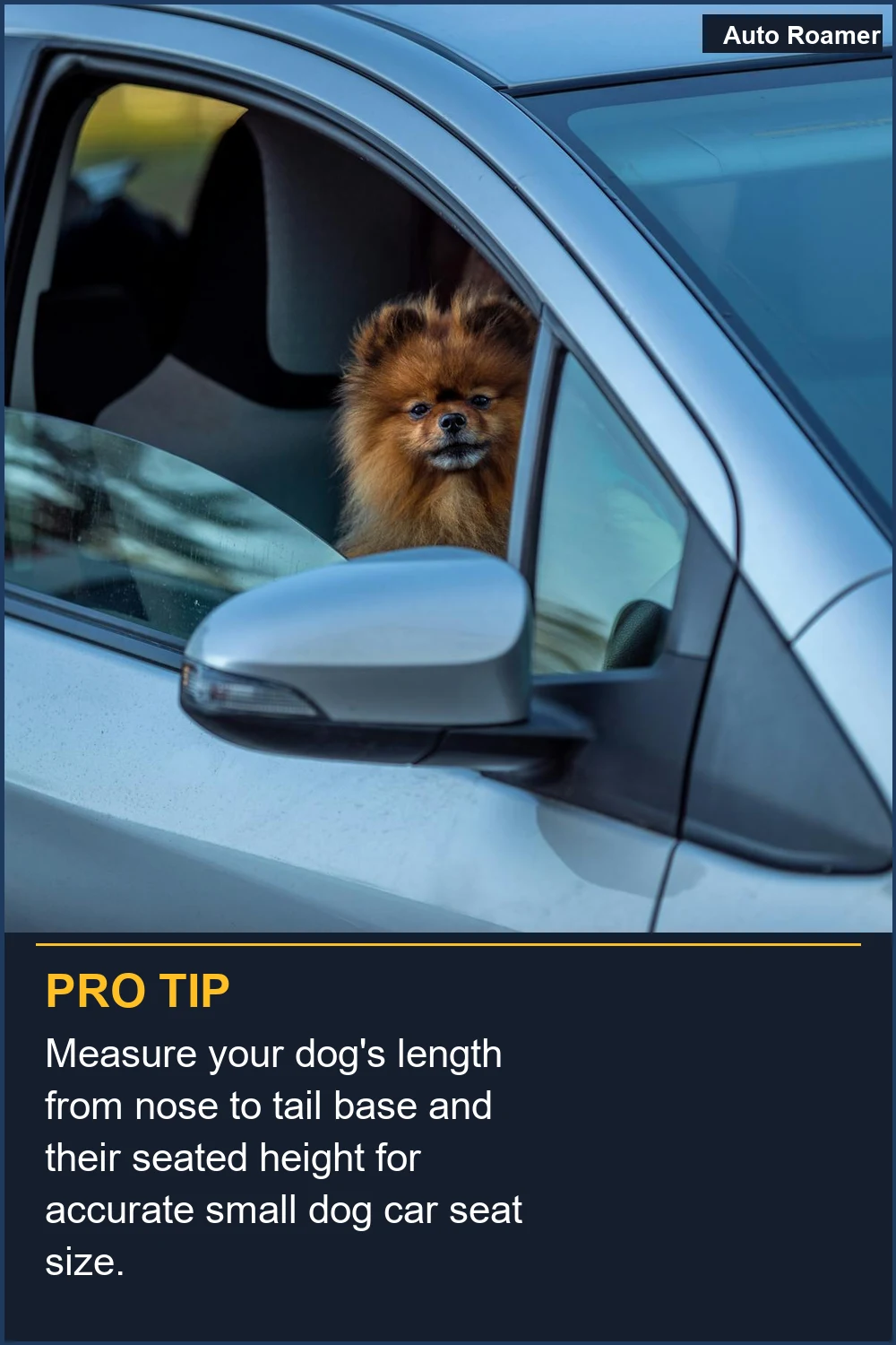 Measure your dog's length from nose to tail base and their seated height for accurate small dog car seat size.