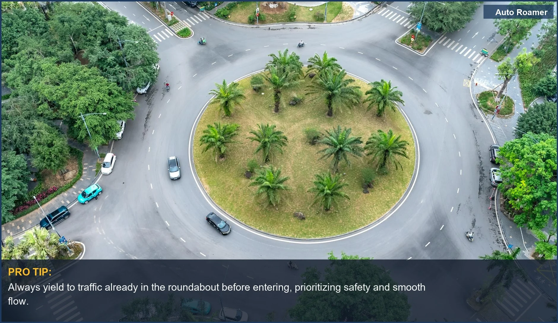 Aerial view of a palm tree-lined roundabout, illustrating how to drive in a roundabout correctly.