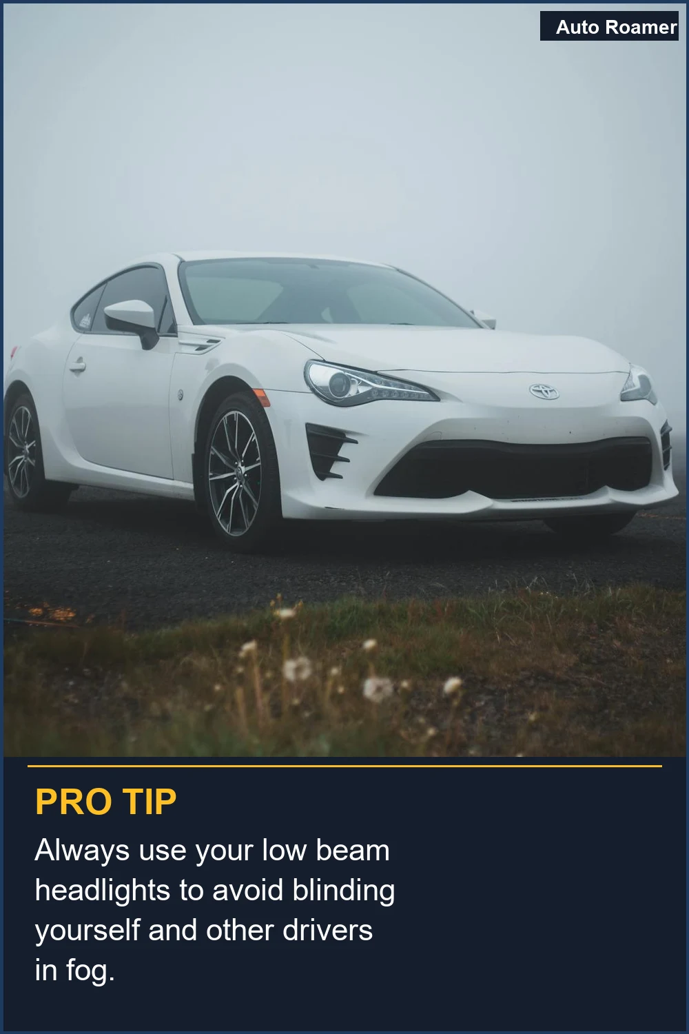 Always use your low beam headlights to avoid blinding yourself and other drivers in fog.