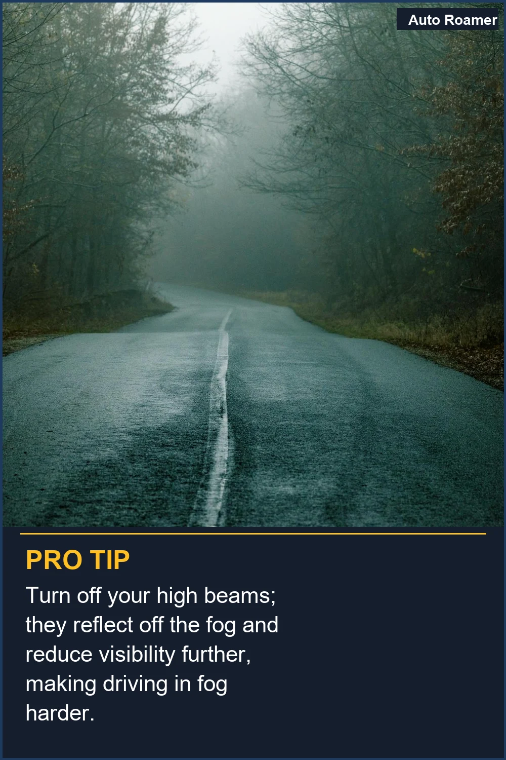 Turn off your high beams; they reflect off the fog and reduce visibility further, making driving in fog harder.
