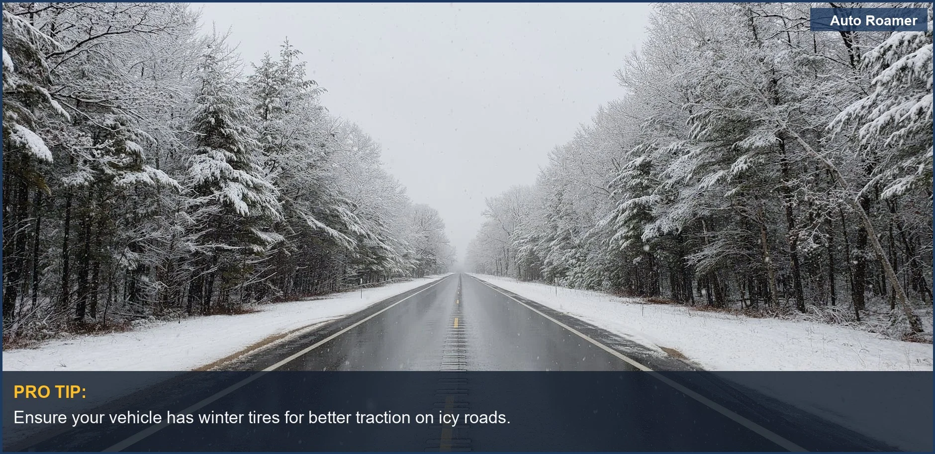 Serene snowy road through pine trees in Michigan, emphasizing safe driving in winter.