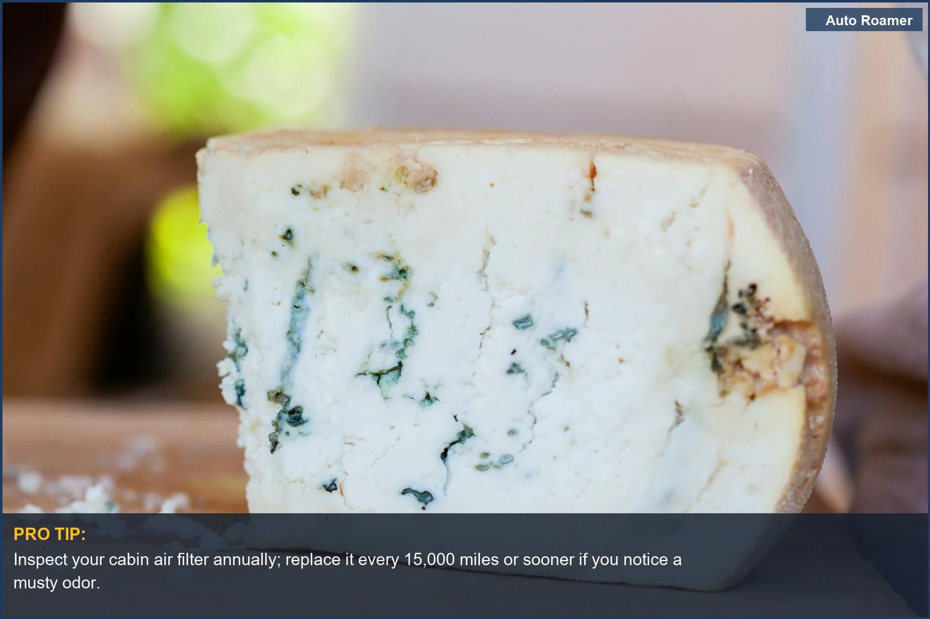 Close-up of blue cheese with mold growth, symbolizing the musty smell car AC originates from.