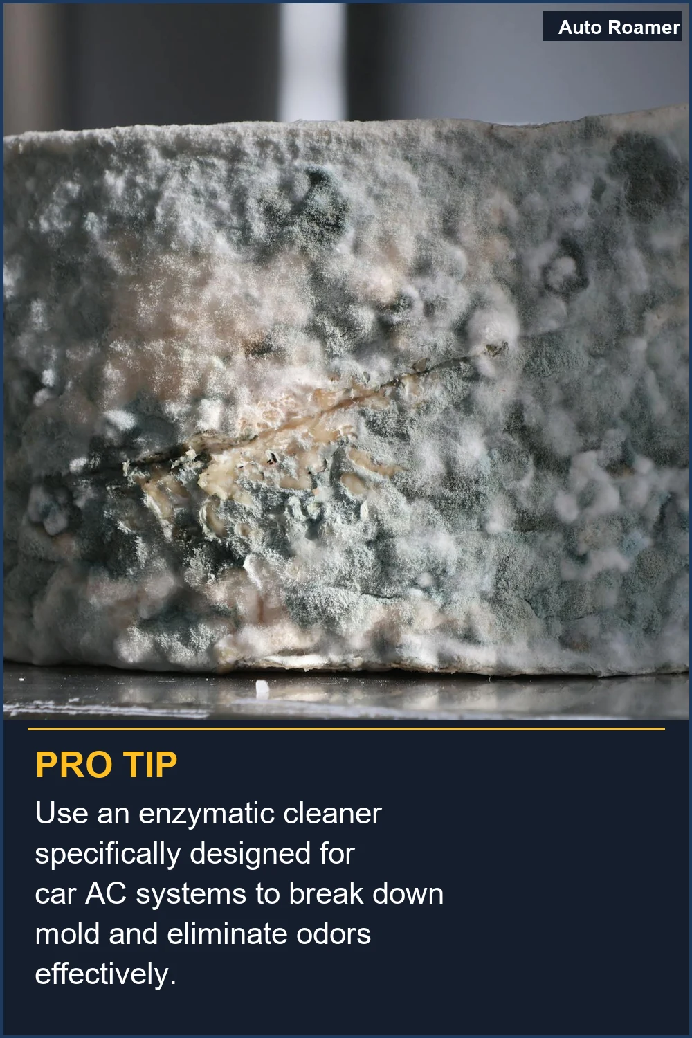 Use an enzymatic cleaner specifically designed for car AC systems to break down mold and eliminate odors effectively.