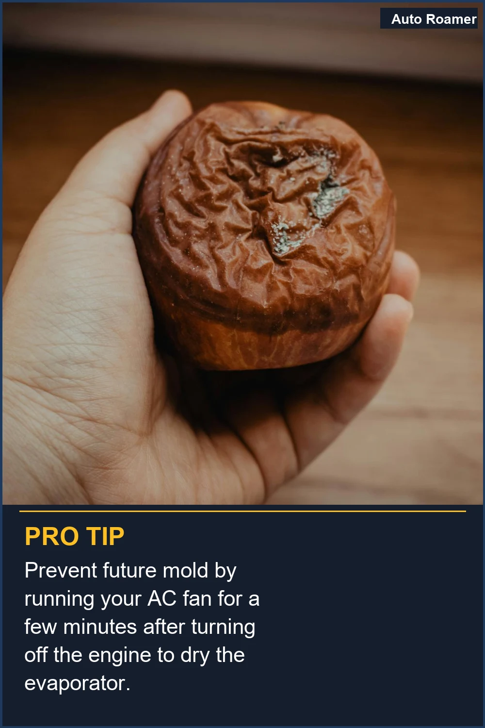 Prevent future mold by running your AC fan for a few minutes after turning off the engine to dry the evaporator.