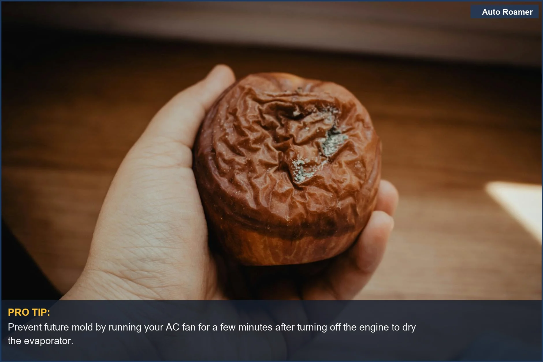 Hand holding a moldy, decaying apple, illustrating how to clean car AC evaporator by removing the source.