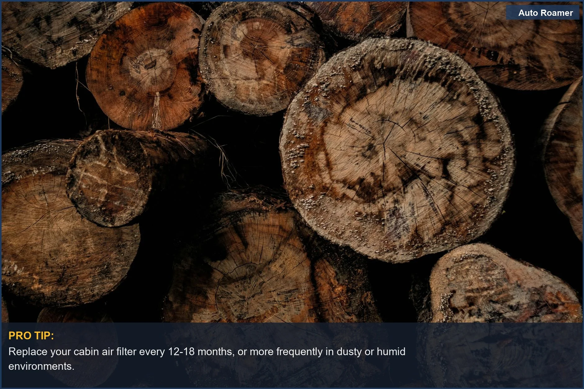 Stacked firewood with visible fungal growth, highlighting the cabin air filter musty smell issue.