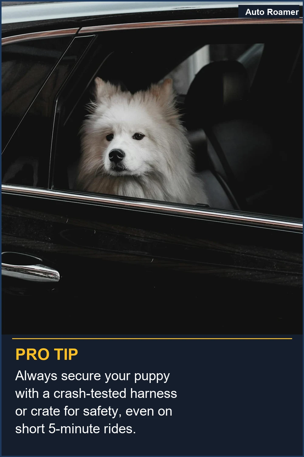 Always secure your puppy with a crash-tested harness or crate for safety, even on short 5-minute rides.
