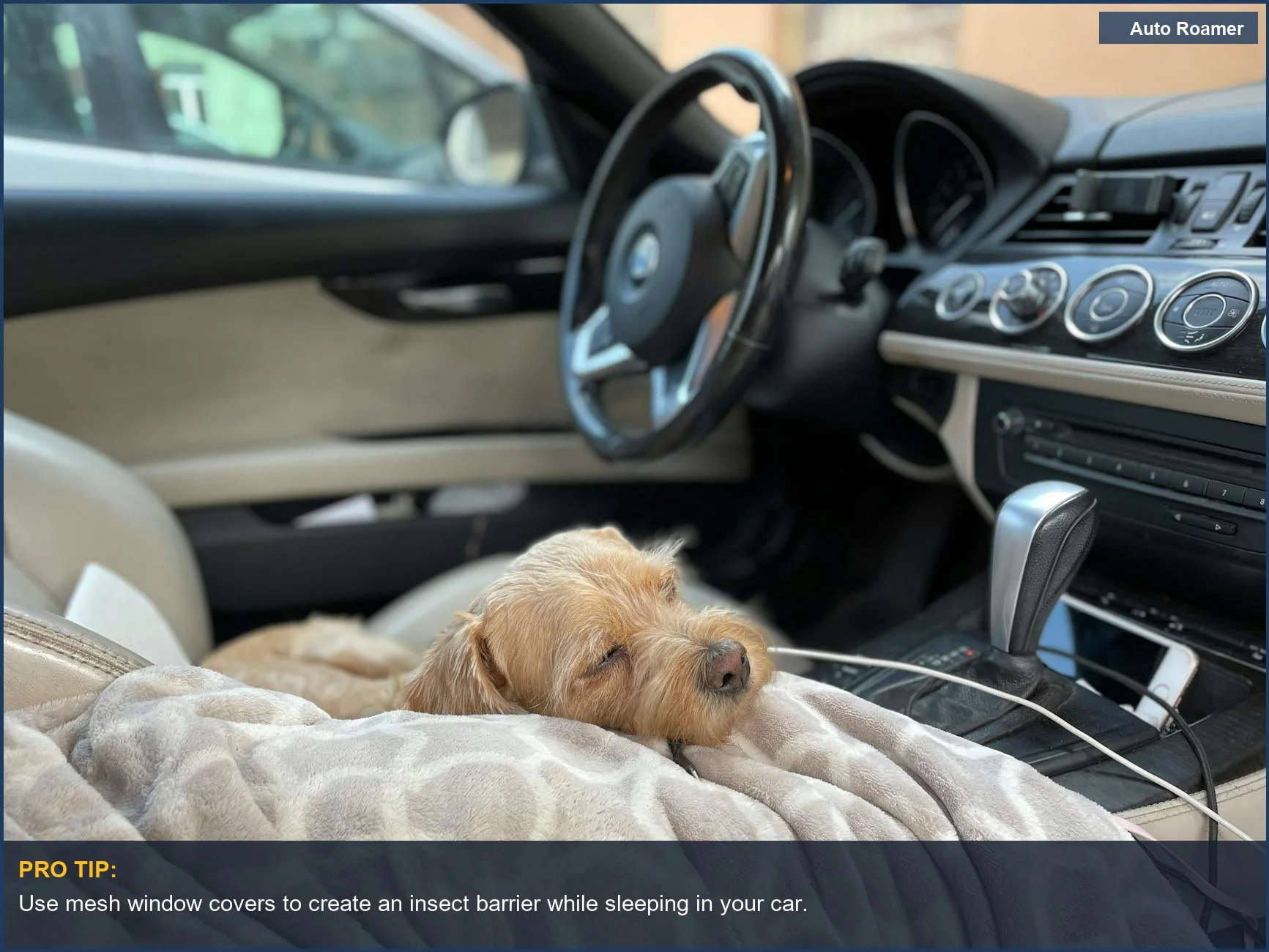 Cozy dog sleeping in car's passenger seat while keeping bugs out at night.