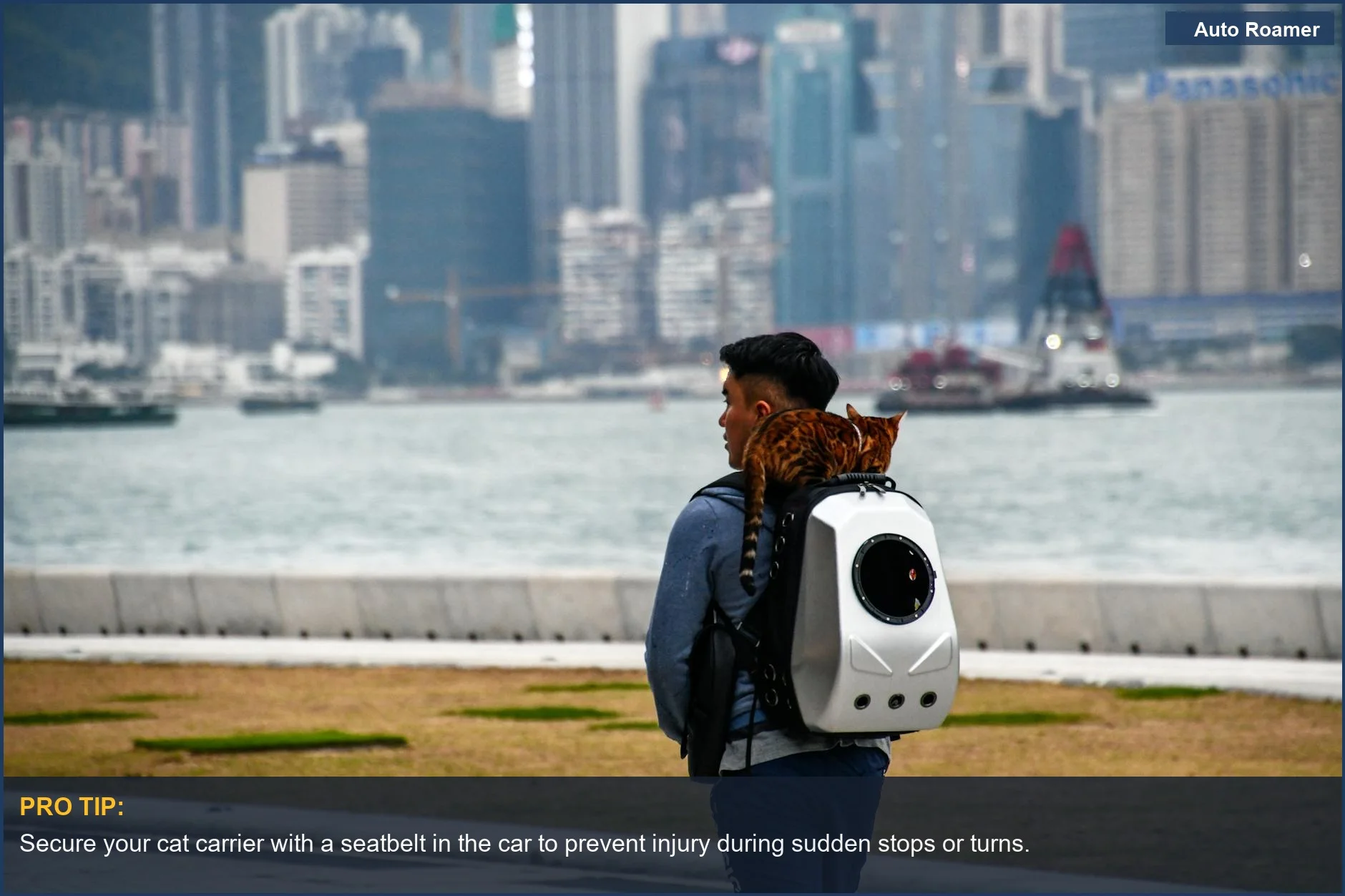 A man carries his cat comfortably in a specialized travel backpack, highlighting strategies to keep cats calm during car travel.