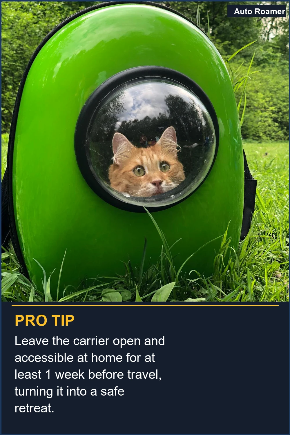 Leave the carrier open and accessible at home for at least 1 week before travel, turning it into a safe retreat.