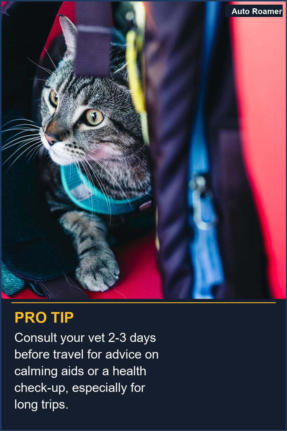 Consult your vet 2-3 days before travel for advice on calming aids or a health check-up, especially for long trips.